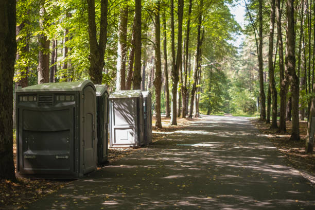 Best Porta potty rental for parties  in Nokomis, IL